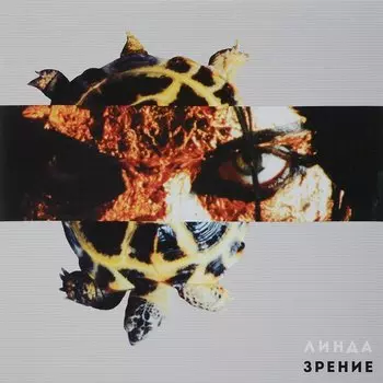Виниловая пластинка Линда - Зрение