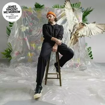 Виниловая пластинка McMorrow, James Vincent - Grapefruit Season