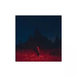 Виниловая пластинка Phoebe Bridgers - Punisher LP