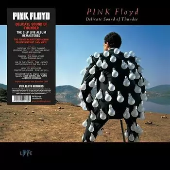 Виниловая пластинка Pink Floyd - Delicate Sound Of Thunder 2LP