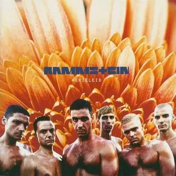 Виниловая пластинка Rammstein - Herzeleid 2LP