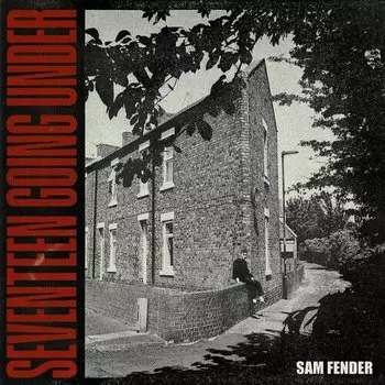 Виниловая пластинка Sam Fender - Seventeen Going Under