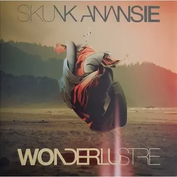 Виниловая пластинка Skunk Anansie - Wonderlustre 2LP