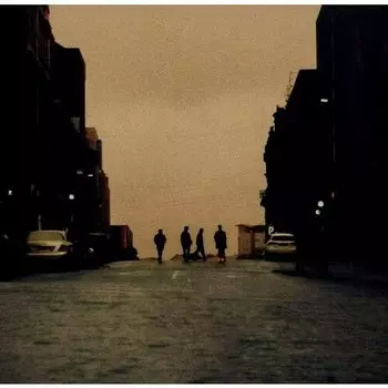 Виниловая пластинка Snuts - W.L. LP