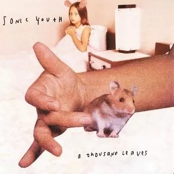 Виниловая пластинка Sonic Youth - A Thousand Leaves
