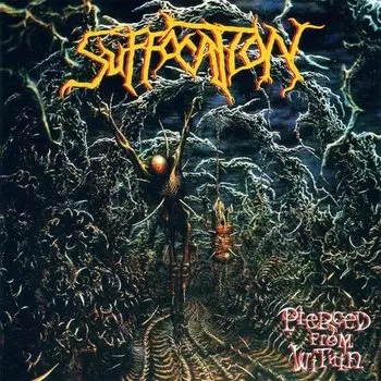Виниловая пластинка Suffocation – Pierced From Within LP