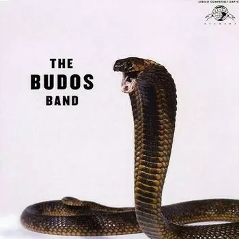 Виниловая пластинка The Budos Band - The Budos Band III LP