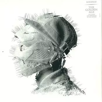 Виниловая пластинка The Golden Age by Woodkid