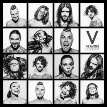Виниловая пластинка The Hatters - V 2LP
