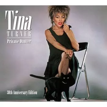 Виниловая пластинка Tina Turner - Private Dancer