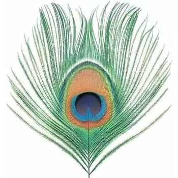 Виниловая пластинка XTC – Apple Venus Vol.1 LP