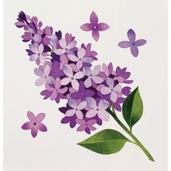 Временная татуировка "Lilac"