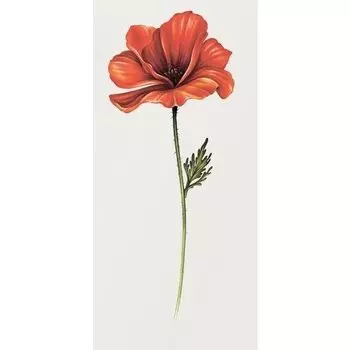 Временная татуировка "Poppy"
