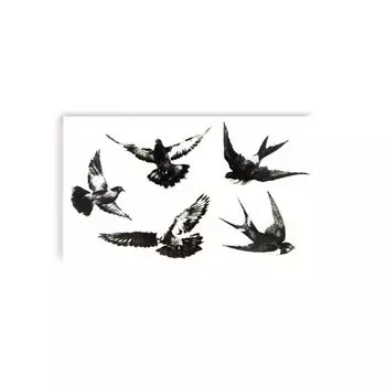 Временная татуировка Tattooshka мини "5 птиц"