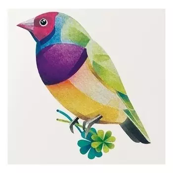 Временное тату "Finch"