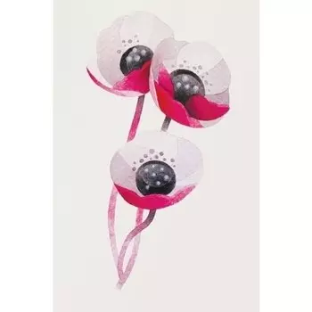 Временное тату "Poppy flowers"