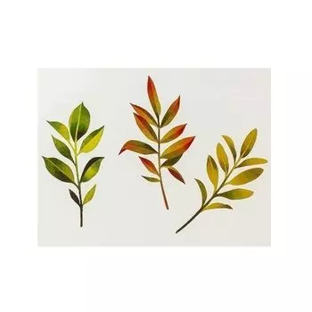 Временное тату "Trio of branches"