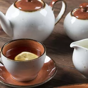 Чайник 550мл h12,5см Brown Shore Fusion P.L. Proff Cuisine | P7130720-SH236