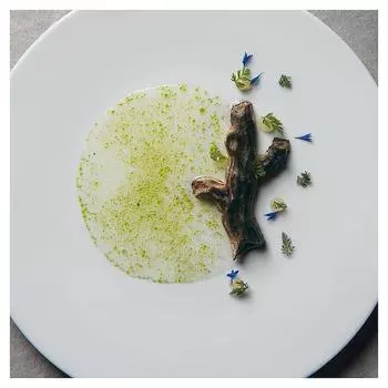 Форма Pavoni Gourmand GG023 Ветка | GG023S TREE