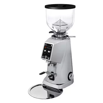 Кофемолка Fiorenzato F4 EVO серый