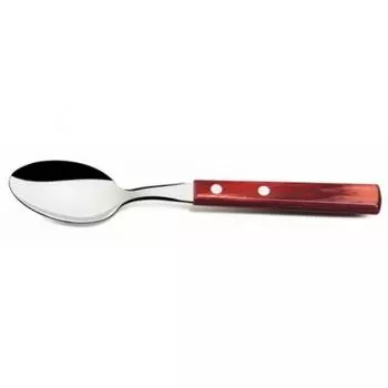 Ложка столовая 19,5см Tramontina Poliwood | 21103/470