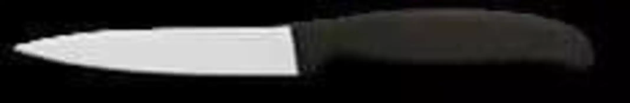 Нож для чистки овощей Sanelli Ambrogio S682.011 110мм