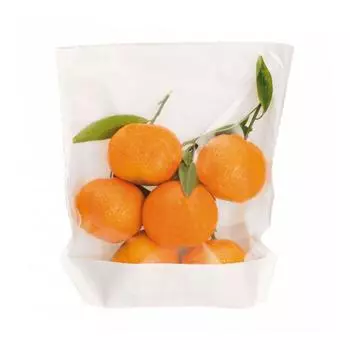 Пакет бумажный с окном для еды, 20х24/21х3,5 см, белый, 100 шт/уп Garcia De Pou | 173.21