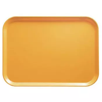 Поднос пластиковый Cambro 1216 504 31х41см