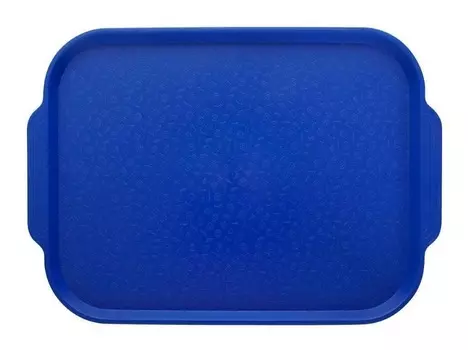 Поднос столовый 450х355 мм с ручками синий