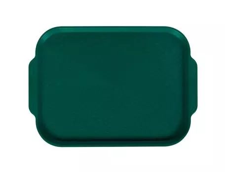 Поднос столовый 450х355 мм с ручками зеленый
