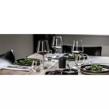 Стакан Хайбол 485мл хр. стекло VerVino (Verbelle) Schott Zwiesel | 121410