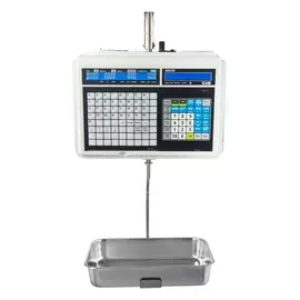 Весы торговые CAS CL5000J-15IH TCP-IP