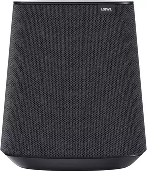 Акустическая система Loewe Klang MR1, темно-серый