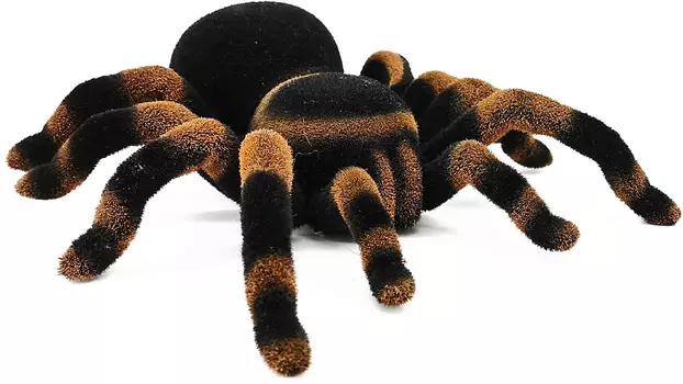 Радиоуправляемый тарантул EDU-TOYS Spider Tarantula, черный