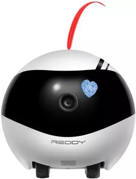 Робот Red Solution REDDY Air, белый