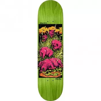 Дека Скейтборд REAL SKATEBOARDS Brd Brockel Pig Zen