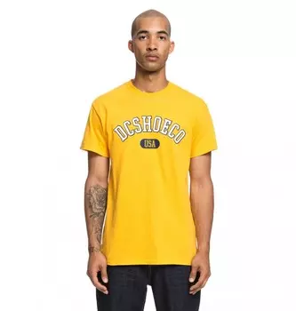 Футболка DC SHOES Arch Ss Tee M Golden Rod