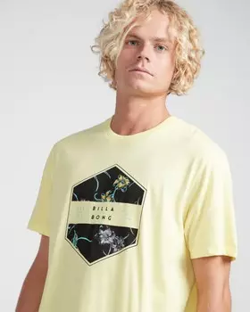 Футболка мужская BILLABONG Access Tee Ss Lemonade