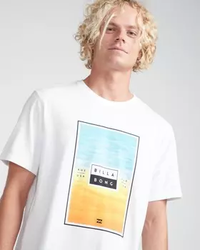 Футболка мужская BILLABONG Access Tee Ss White