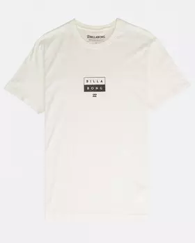 Футболка мужская BILLABONG Decal Tee Ss Bone