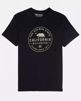 Футболка мужская BILLABONG Golden State Te Ss Black