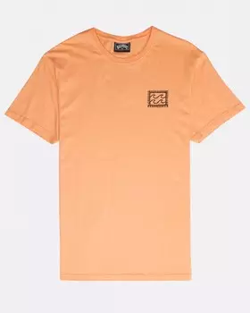 Футболка мужская BILLABONG Nairobi Tee Ss Cantaloupe