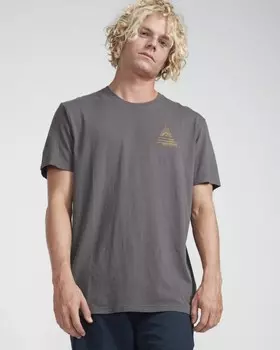 Футболка мужская BILLABONG Prismboard Te Ss Char