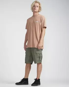 Футболка мужская BILLABONG Riverside Tee Ss Hazel