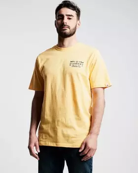 Футболка мужская ELEMENT Zap Ss Tee Ftm Banana