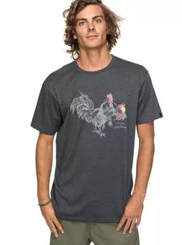 Футболка мужская QUIKSILVER Htrroostervibe M Charcoal Heather