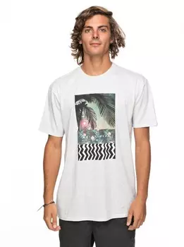 Футболка мужская QUIKSILVER Shdtrippletreat M Snow White Heather