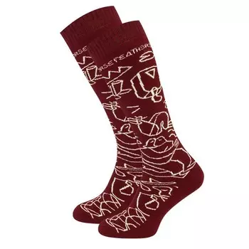 Носки мужские HORSEFEATHERS Draven Lucas Thermolite Socks Andorra