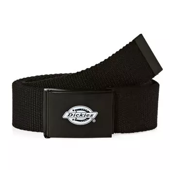 Ремень DICKIES Orcutt Webbing Belt Black 2022