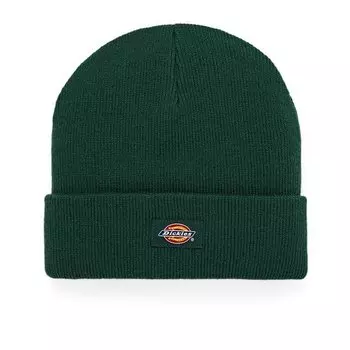 Шапка DICKIES Gibsland Beanie Ponderosa Pine 2022
